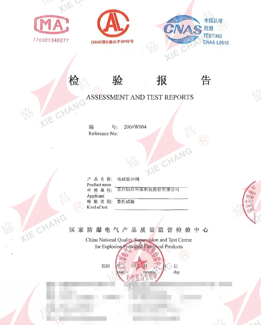 Laporan Ujian Perlindungan Kemasukan IP65 — Injap Denyut Solenoid DCF-00 (CQST, 2020)